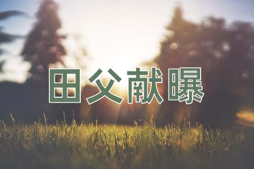 成语田父献曝