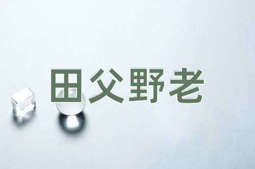 成语田父野老