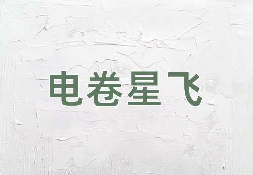 成语电卷星飞