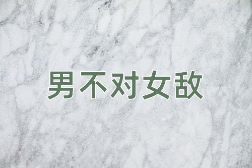 成语男不对女敌