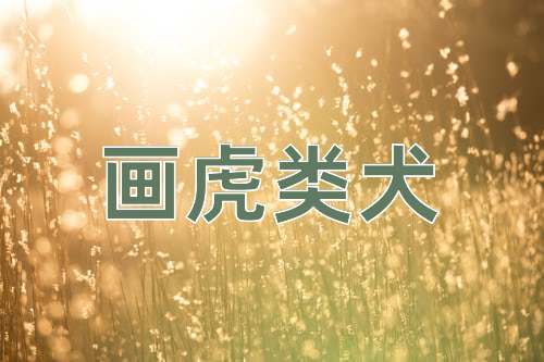 成语画虎类犬