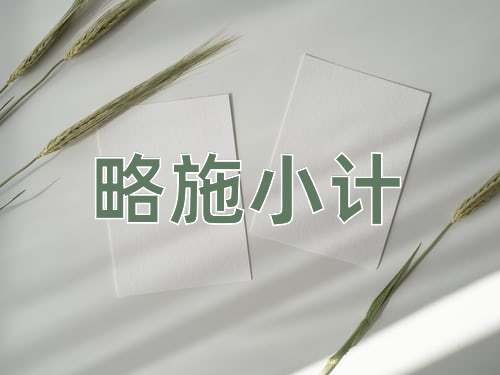成语略施小计
