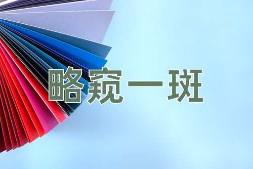 成语略窥一斑