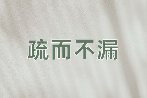 成语疏而不漏