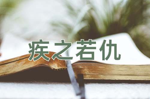 成语疾之若仇