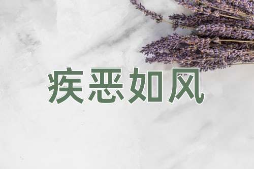 成语疾恶如风