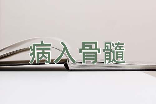 成语病入骨髓