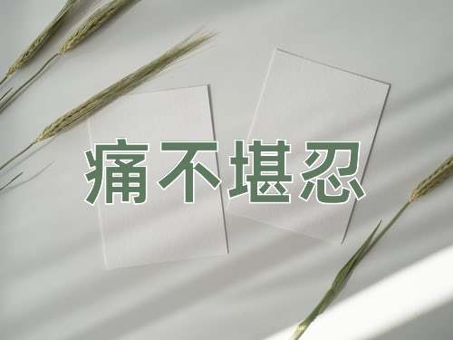 成语痛不堪忍