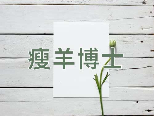 成语瘦羊博士