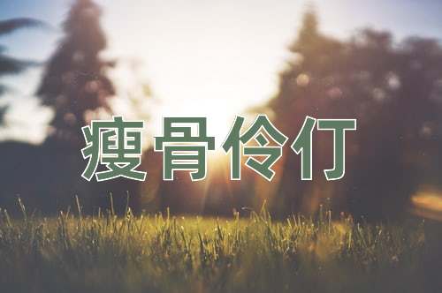 成语瘦骨伶仃