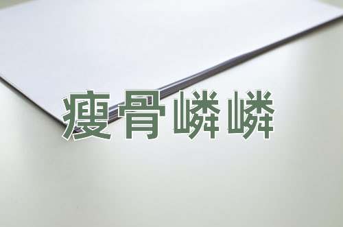 成语瘦骨嶙嶙
