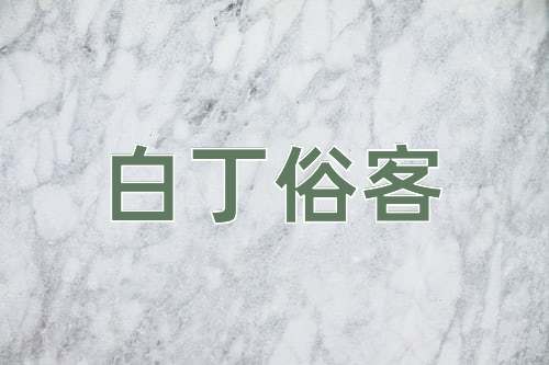 成语白丁俗客