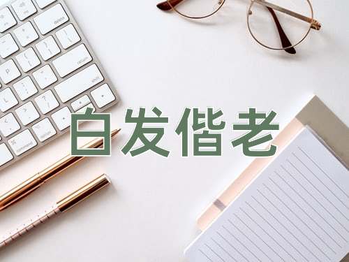 成语白发偕老