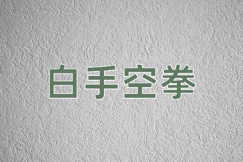 成语白手空拳