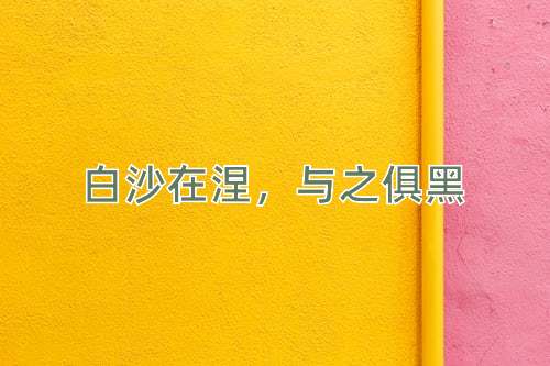 成语白沙在涅，与之俱黑