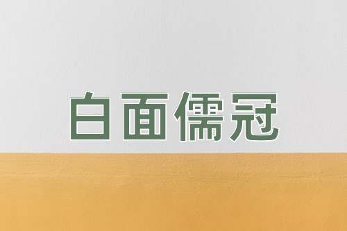 成语白面儒冠