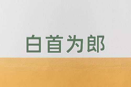 成语白首为郎