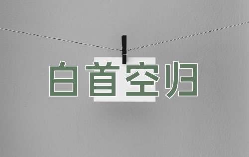 成语白首空归