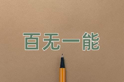 成语百无一能