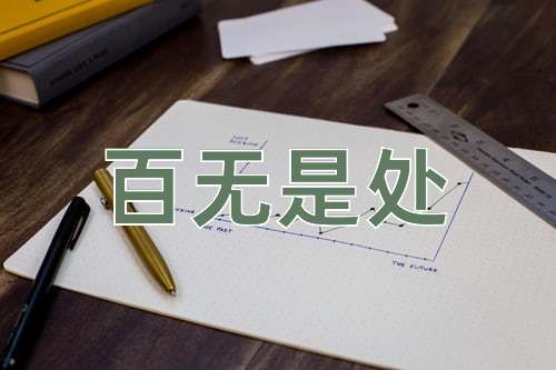 成语百无是处