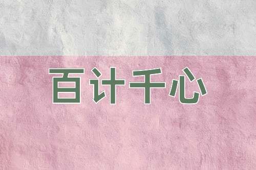 成语百计千心