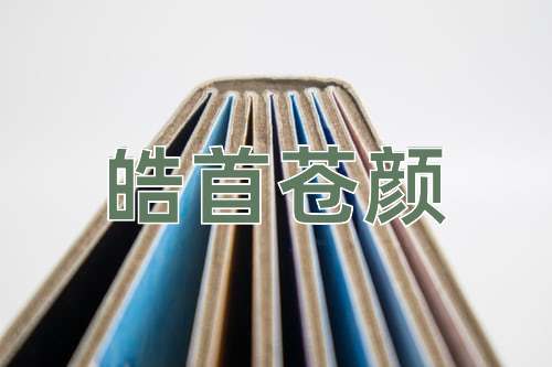 成语皓首苍颜