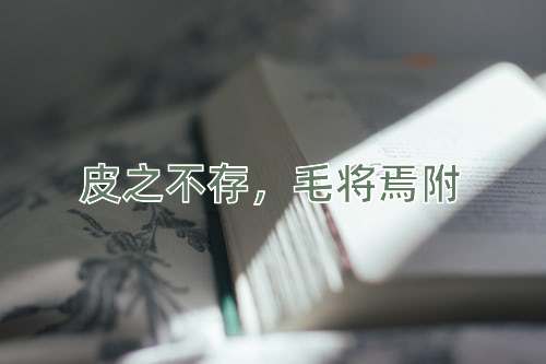 成语皮之不存，毛将焉附
