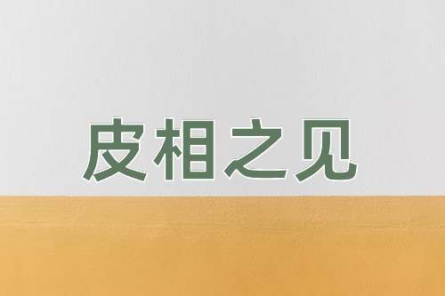 成语皮相之见