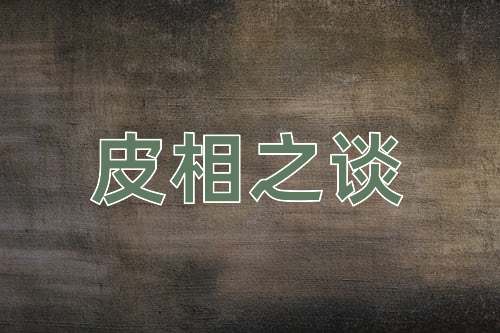 成语皮相之谈