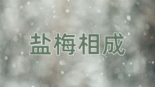 成语盐梅相成