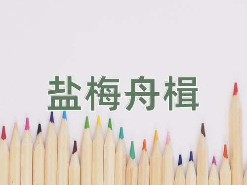 成语盐梅舟楫