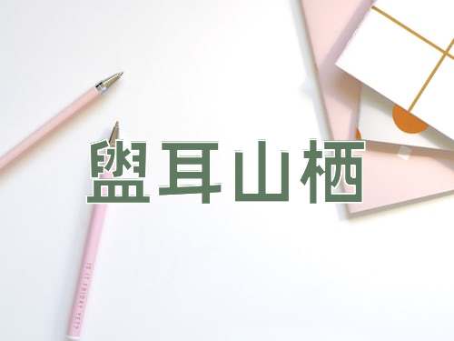 成语盥耳山栖
