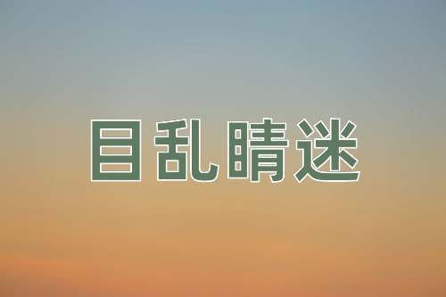成语目乱睛迷