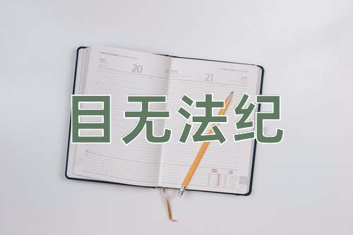 成语目无法纪