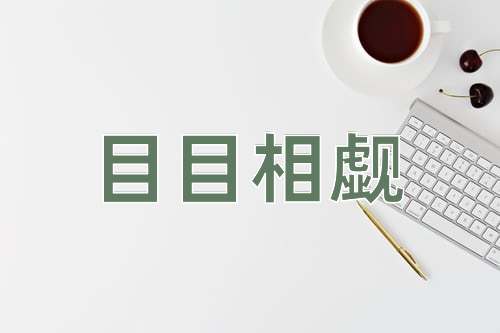 成语目目相觑