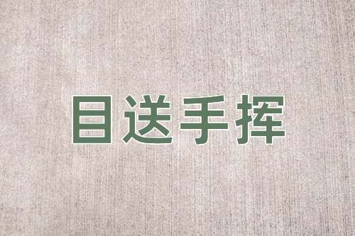 成语目送手挥