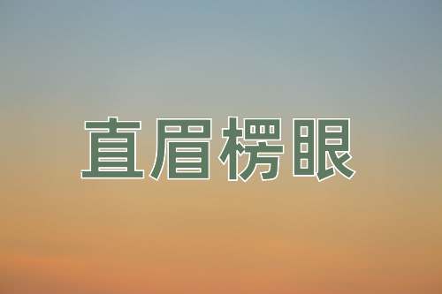 成语直眉楞眼