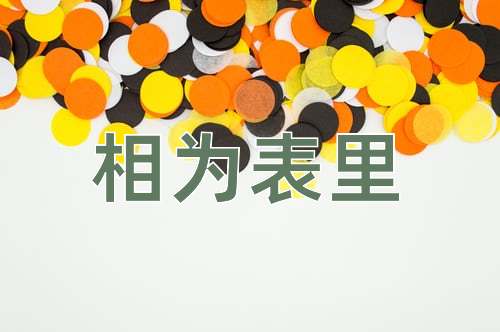 成语相为表里