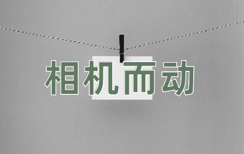 成语相机而动