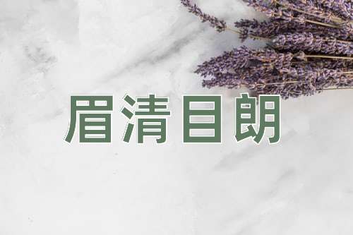 成语眉清目朗