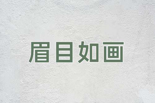成语眉目如画
