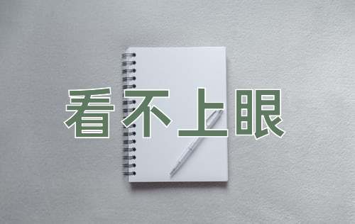 成语看不上眼
