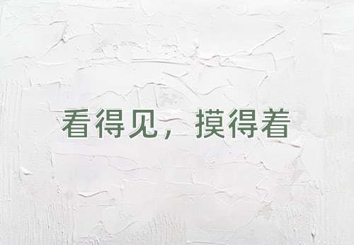 成语看得见，摸得着