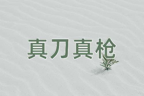 成语真刀真枪