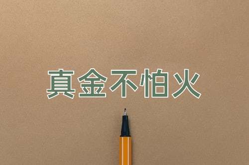 成语真金不怕火
