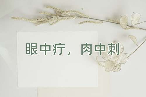 成语眼中疔，肉中刺