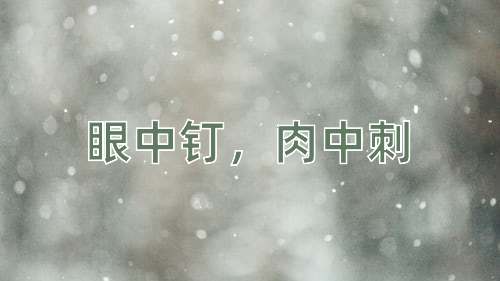 成语眼中钉，肉中刺