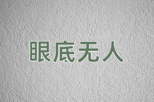 成语眼底无人
