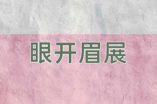 成语眼开眉展