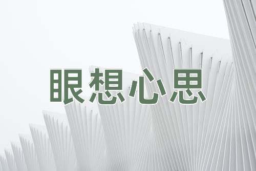 成语眼想心思